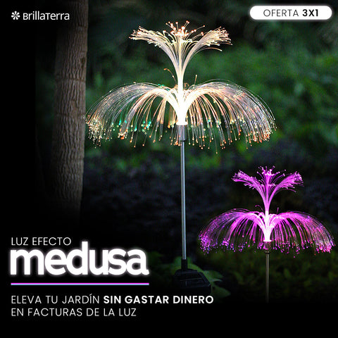 Luz Solar Efecto Medusa